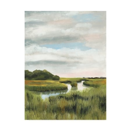 Naomi Mccavitt 'Marsh Landscapes I' Canvas Art,24x32